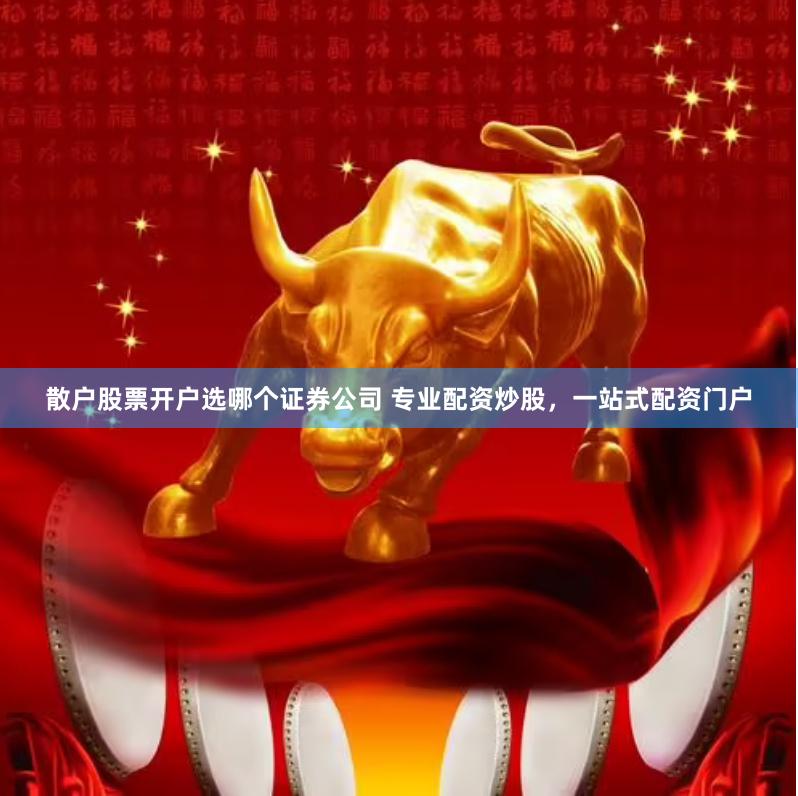 散户股票开户选哪个证券公司 专业配资炒股，一站式配资门户