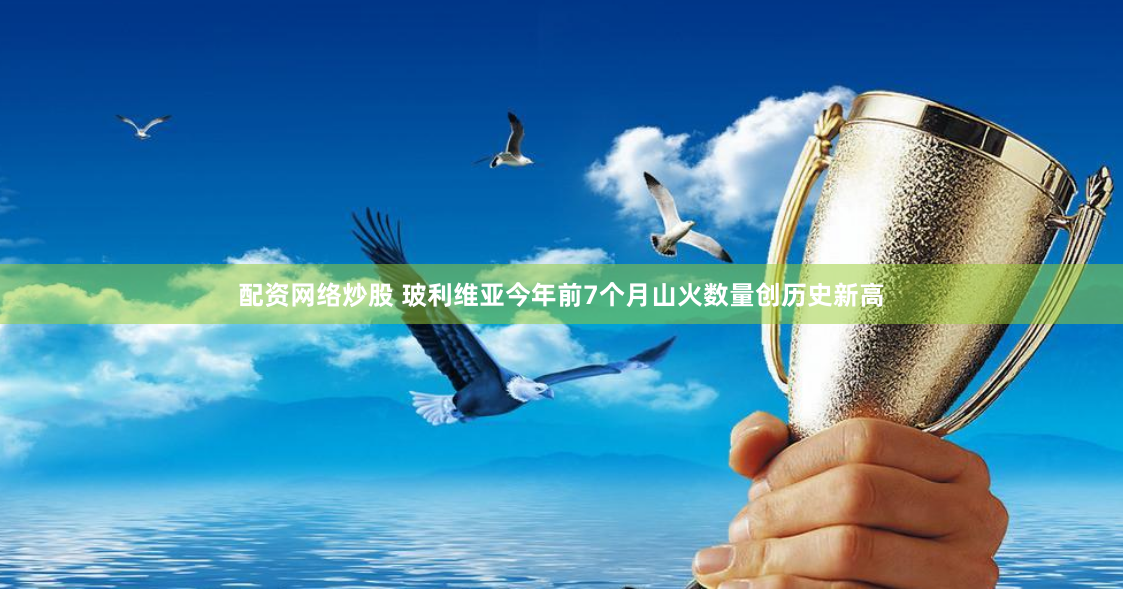 配资网络炒股 玻利维亚今年前7个月山火数量创历史新高