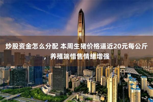 炒股资金怎么分配 本周生猪价格逼近20元每公斤，养殖端惜售情绪增强