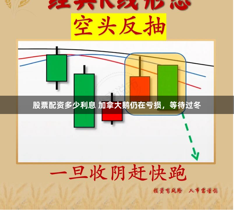 股票配资多少利息 加拿大鹅仍在亏损，等待过冬