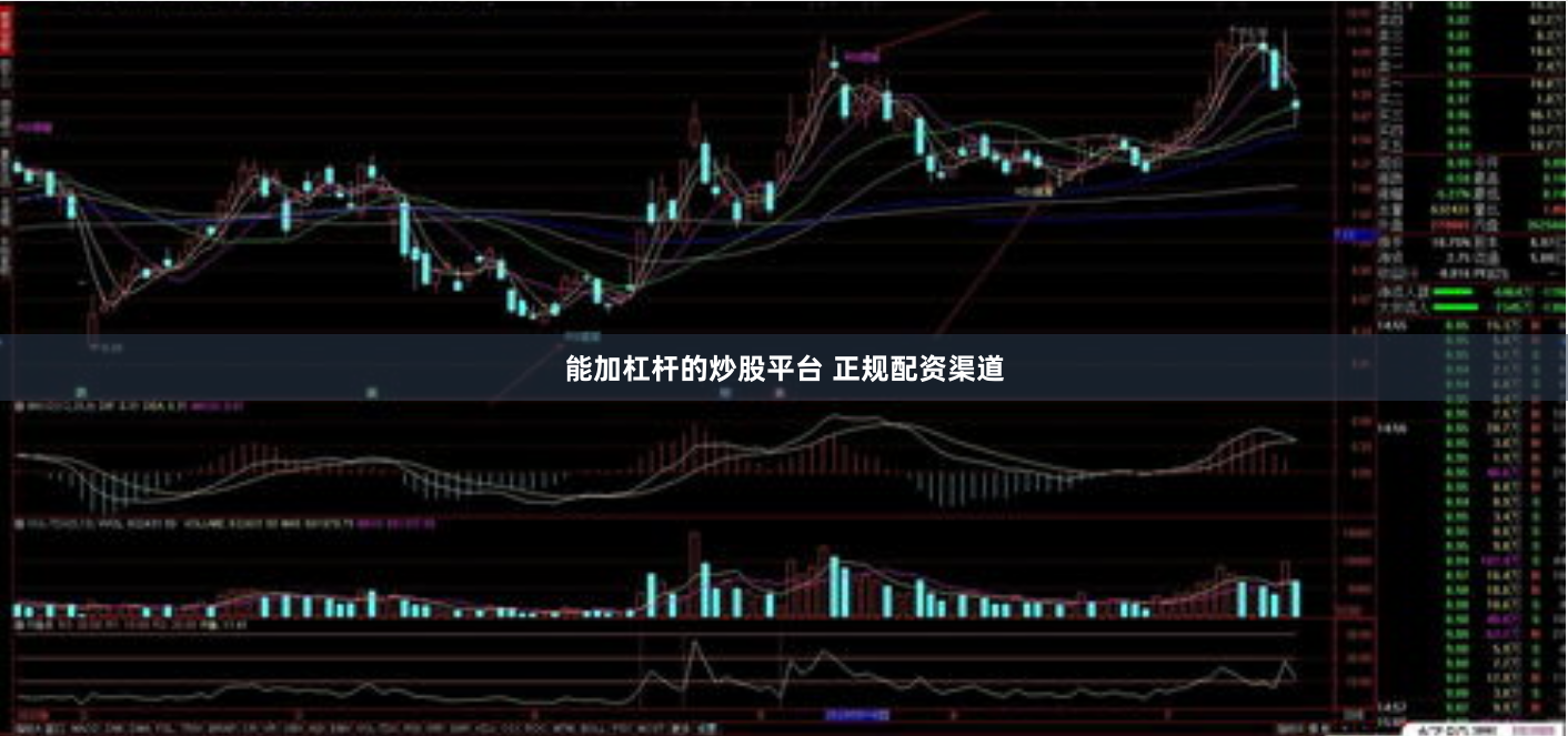 能加杠杆的炒股平台 正规配资渠道