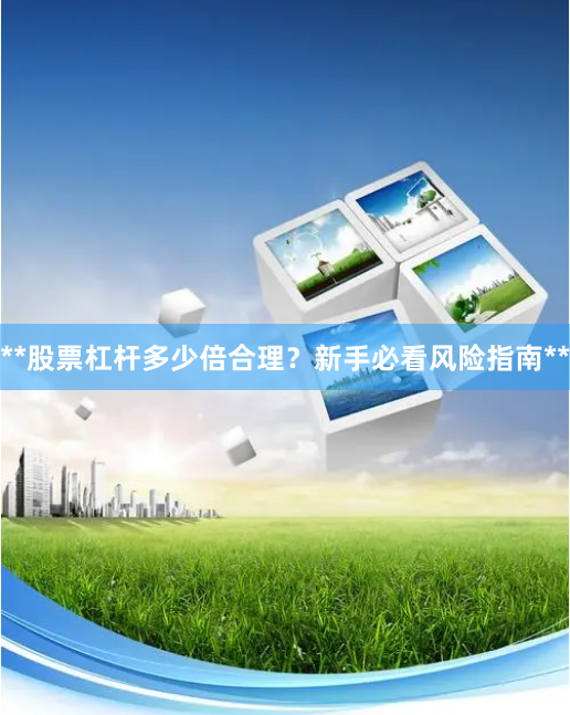 **股票杠杆多少倍合理？新手必看风险指南**